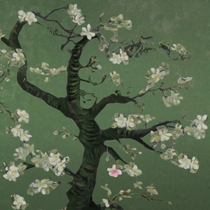 美女主播野外交配
