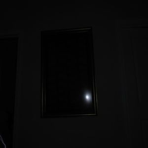 美女主播野外交配
